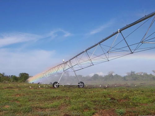 進(jìn)城買房補5萬與征地補償政策下的機遇與挑戰(zhàn)